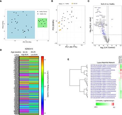 Inhibition of miRNA associated with a disease-specific signature and secreted via extracellular vesicles of systemic lupus erythematosus patients suppresses target organ inflammation in a humanized mouse model